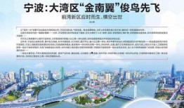 前湾新区爆料案件最新进展,案情明朗，正义终将到来”